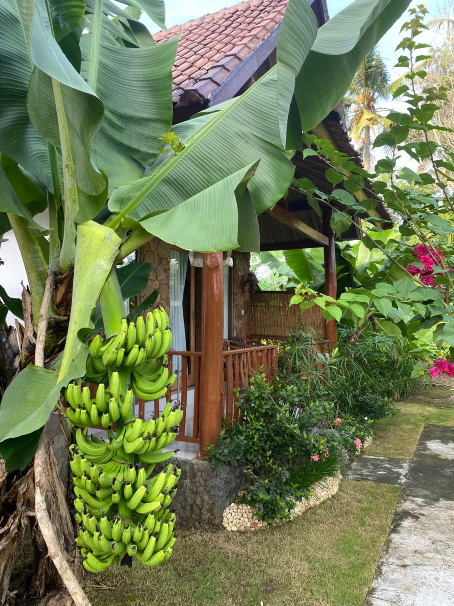Grealeen Cottages Ped Esterno foto